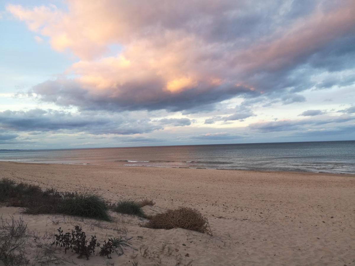 Apartamento Con Vistas Al Mar Oliva Exteriör bild