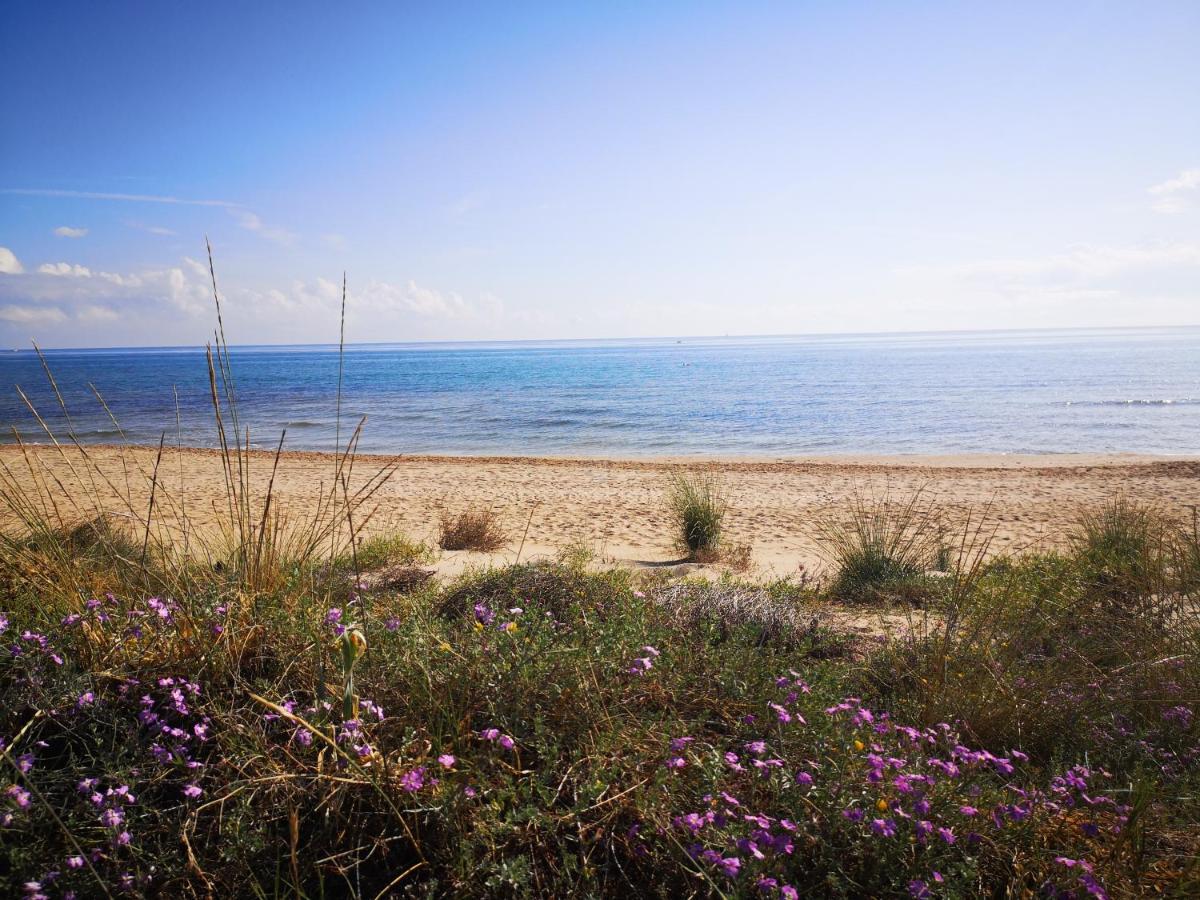Apartamento Con Vistas Al Mar Oliva Exteriör bild