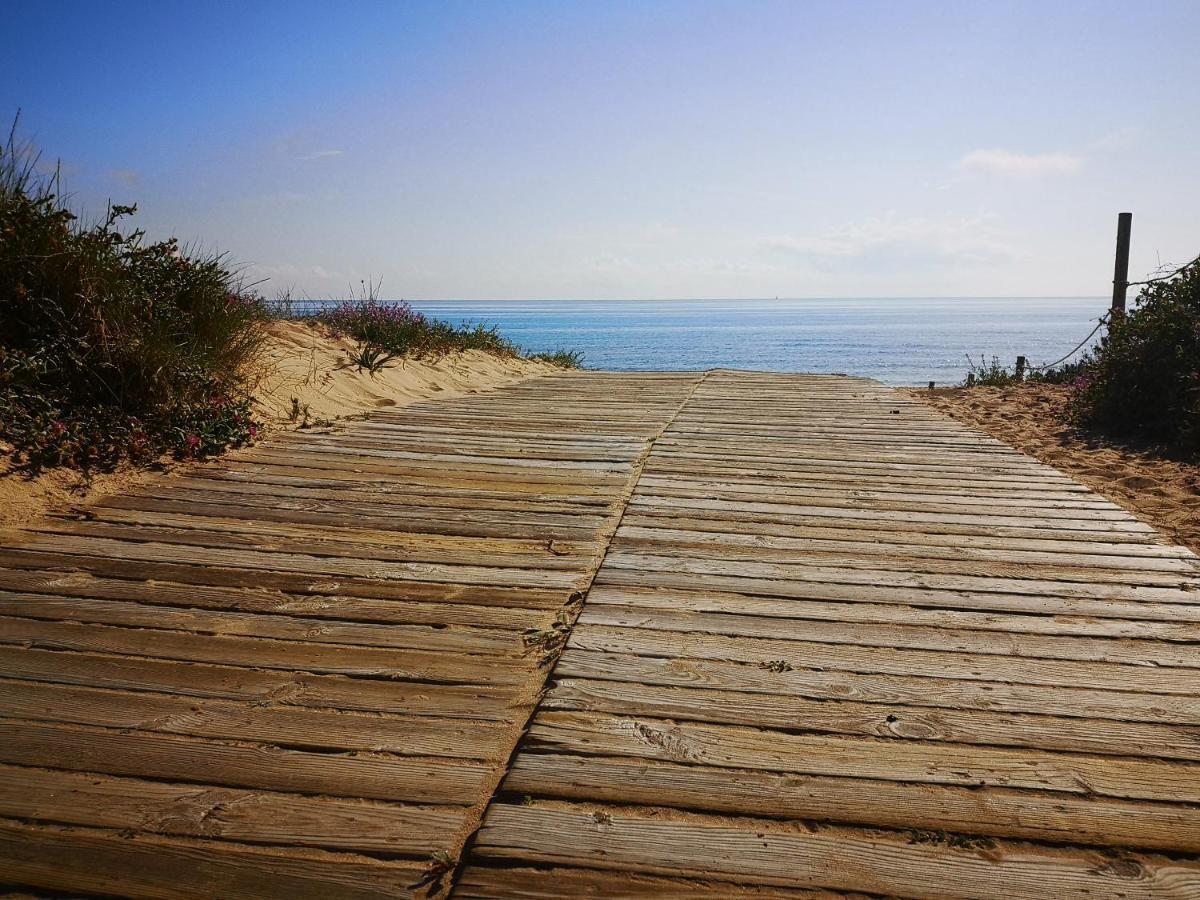 Apartamento Con Vistas Al Mar Oliva Exteriör bild